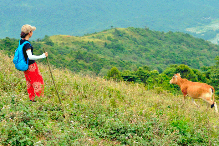 Pu Luong peak, Pu Luong